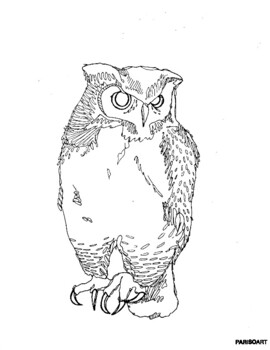 realistic owl coloring pages