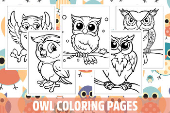 Owl coloring books for kids ages 8-12: Beautiful Owl Coloring Book  (Paperback)