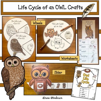 Preview of Owl Crafts Life Cycle of an Owl Activities