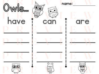 Preview of Owl HAVE CAN ARE | Organizer | Writing | Phonics | Verbs | Adjectives | Noun