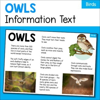 Owl Information Text – Animal Facts about Owls - Birds by Ben Lukis