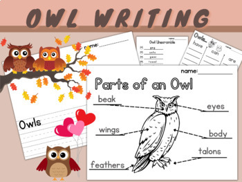 Preview of Owl Informative Writing | Have Can Are | Label | Life Cycle | Comprehension