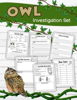 Preview of Owl Investigation Set