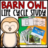 Owl Life Cycle | Centers, Activities and Worksheets | Fall