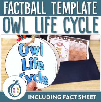 Preview of Owl Life Cycle Factball and Fact Sheet