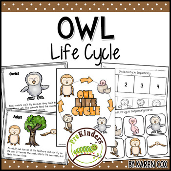 Preview of Owl Life Cycle | Fall Science | Preschool Pre-K