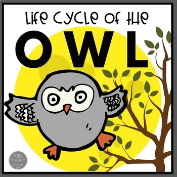 Preview of Owl Life Cycle Materials