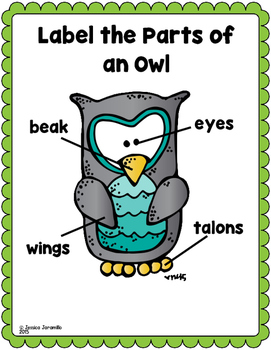science homework owl