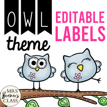 Owl Theme Labels EDITABLE by Anita Bremer | Teachers Pay Teachers