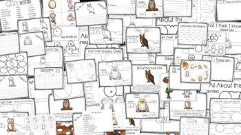 Preview of Owl Nonfiction Research Unit