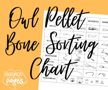 Preview of Owl Pellet Bone Sorting Chart