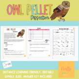 Hands-On Owl Pellet Dissection Lab | In-Class & Digital Op