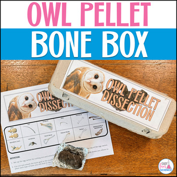 Preview of Owl Pellet Dissection Activity Bone Box Bone Sorting for Owl Pellet Bones
