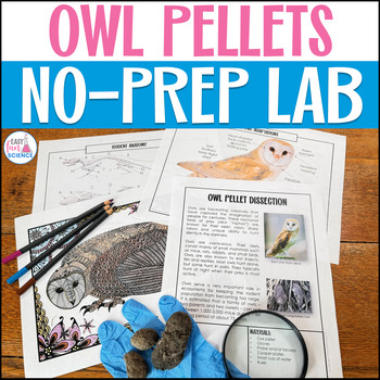 Preview of Owl Pellet Dissection Activity Fun End of Year Science Lab for Middle School