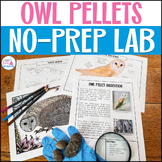 Owl Pellet Dissection Activity Fun End of Year Science Lab