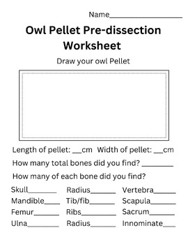 Owl Pellet Dissection Guide by Beatriz Gurgel Burns | TPT