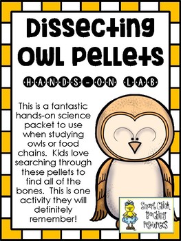 Owl Pellet Bone Chart Free Printable