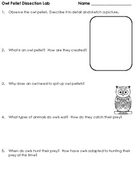 Owl Pellet Dissection Lab by Smart Chick | Teachers Pay Teachers