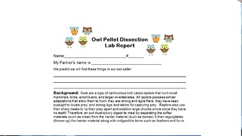 Owl Pellet Dissection Lab By Mary Beth Kratky | TPT