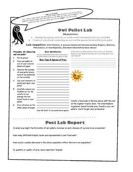 Preview of Owl Pellet Dissection Lab