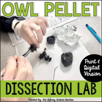 Preview of Owl Pellet Dissection Lab - Print & Digital Options