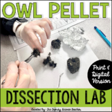 Owl Pellet Dissection Lab - Print & Digital Options