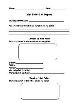 Preview of Owl Pellet Dissection Lab Report