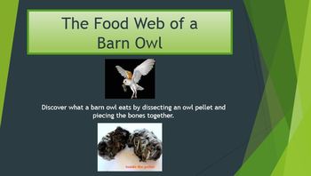Preview of Owl Pellet Dissection Packet Lab Activity PowerPoint Ecosystem