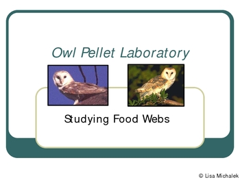 Preview of Owl Pellet Ecology Ecosystems Lab PowerPoint Presentation Lesson Plan