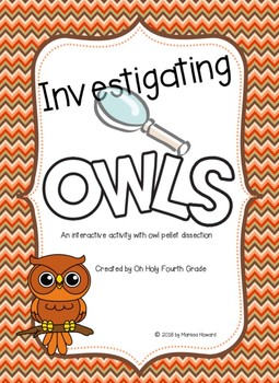 Preview of Owl Pellet Exploration