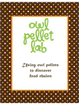 Preview of Owl Pellet Lab (Food Chain)