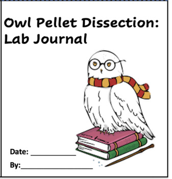 Lab detectives: owl pellet dissection and analysis — Sompting Abbotts