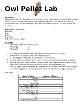 Preview of Owl Pellet Lab Sheet