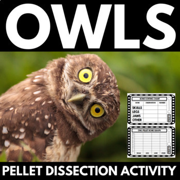Preview of Owl Pellets | Dissection Activity | Owl Unit | Student Lab Materials | Activity