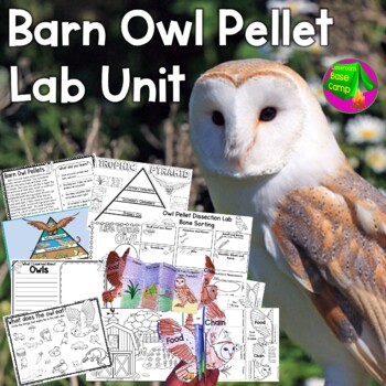 Preview of Owl Pellets Lab Unit
