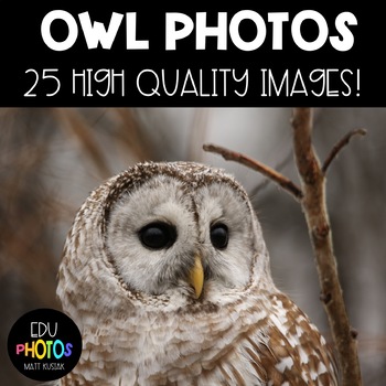 Preview of Owl Photographs for Personal and Commercial Use