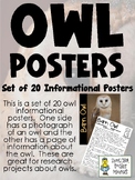 Owl Posters - Information Sheets for 20 Species