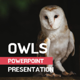 Owl PowerPoint