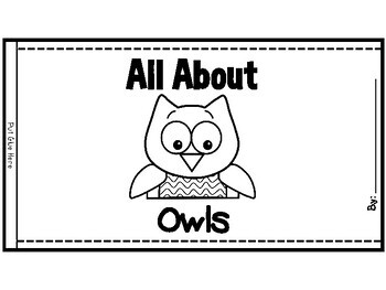 Owl Research Project, Bird Science Report, Science Craftivity, Letter O