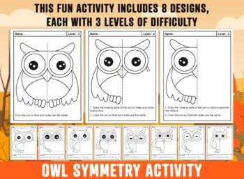 Preview of Owl Symmetry Worksheet, Owl Theme Lines of Symmetry Activity, Fall/Autumn Art