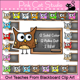 Teacher Owl Clip Art - Commercial Use