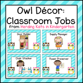 Owl Theme Decor Classroom Jobs Signs