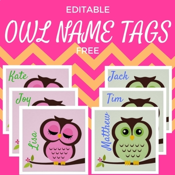 Preview of Owl Theme Student Name Tags EDITABLE