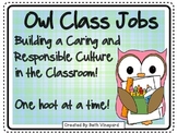 Owl Themed Class Jobs for Primary *36 jobs PLUS written ou