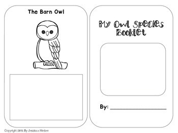 Owl Unit by The Third Grade Zoo | Teachers Pay Teachers