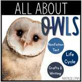 Owl Unit: All About Owls
