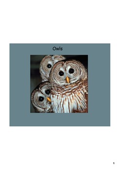 Preview of Owl Unit - Smartboard Lesson and Project Report