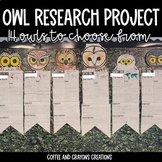 Owl Unit Study Project