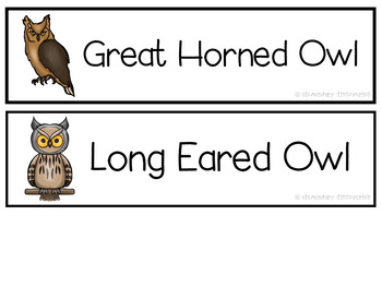 Owl Word Wall Cards by Elementary Discoveries | TPT