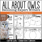 Owl Writing - First Grade Nonfiction Writing Unit